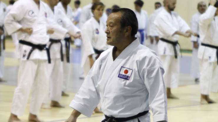 Seiwakai Goju Ryu Karate seminar in Portugal